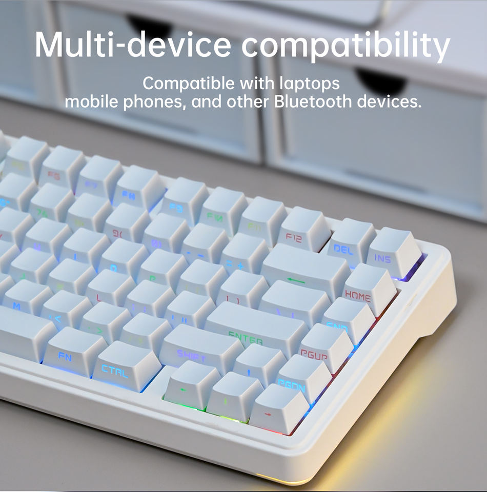 KY75 Mechanical Keyboard-75-Key RGB Backlit Wireless/USB 2.4GHz ...