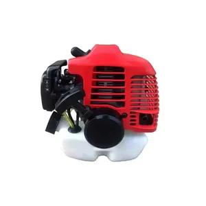 High Efficiency Agricultural Machinery Parts Water-Cooled 2 Stroke Gasoline Engine Assembly