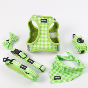 Pet ürünleri özel ad neopren yeşil <span class=keywords><strong>Pretty</strong></span> adım hiçbir tasma ile küçük köpek örgü koşum çekin - Product Image 1