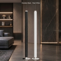Diffuseur d'arômes professionnel sans eau pour la maison, machine à huiles essentielles pures, luxe, capacité de 100 ml, alimentation USB