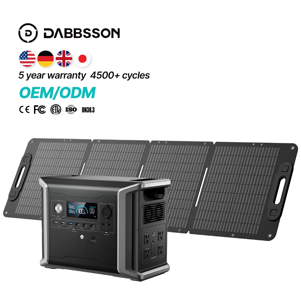 DBS1300+120W