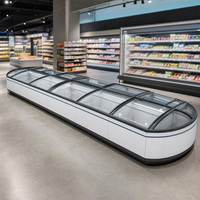 Congelador Combinado Tipo Isla Ecológico R290 con Canasta Interior de Alambre, Bajo Consumo para Exhibición de Helados en Tiendas de Conveniencia