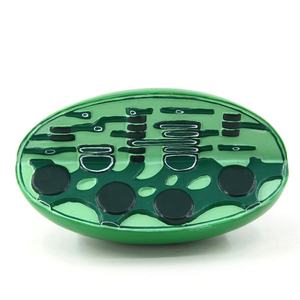 Modelo Biológico 3D de Cloroplasma HSBM-558 de Gelsonlab para Educación - Product Image 4