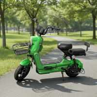 Vélo Électrique Adulte en Promotion – Vente Directe Usine – Cadre en Acier Carbone – Électronique Numérique – Longue Autonomie – Utilisation Urbaine