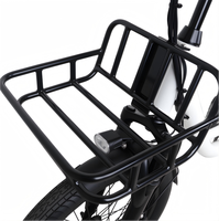 Vélo cargo électrique non pliable à deux roues, 20 pouces, 36V, 250W, double moteur sans balais, pour livraison de nourriture
