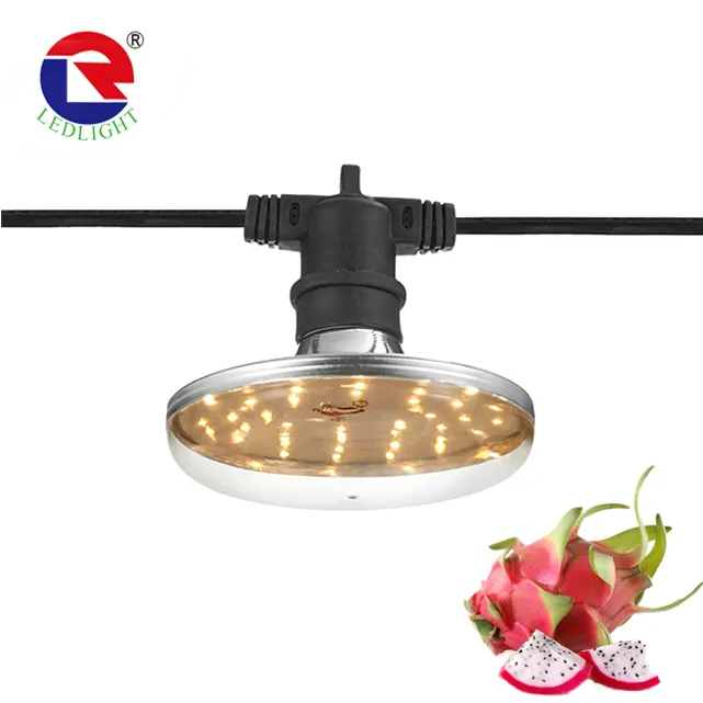 Luz de cultivo de espectro completo para frutas de dragón 15W lámpara de planta para pitaya plantar Bacca tomate Phyto lámparas al aire libre impermeable