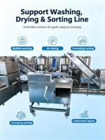 Automatische groenteschiller voor knoflook, ui, gember, volledig geautomatiseerde installatie voor de productie van knoflookpasta en -poeder
