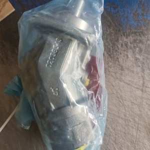 A2FO10/61R-VPB06 R902197748 Hydraulic Piston Pump for Construction Machinery - Product Image 2