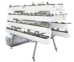 Günstige ganze Kits Strawberry Hydro ponic Growing System Vertikale PVC-Dachrinne A Frame Kits für den Garten Erdbeer anbau