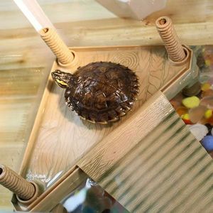 Plataforma Flotante Clásica Ecológica Tianbo NFF-07, Rampa de Descanso, Escalera Decorativa para Tortugas, Suministros para Anfibios y Reptiles - Product Image 2