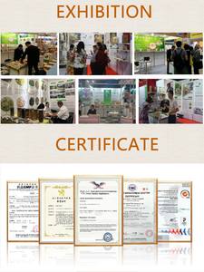 新鲜优质散装订单黑胡椒干草本种子粉形成热口味香料生姜丁香鼠尾草全球市场-低 - Product Image 5