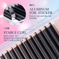 DANIKE Double Conseils Ellipse Cils Plats 0.15/0.20 C D Curl Cils Plats Classiques Salon Professionnel Utilisation Cils Individuels Plateau