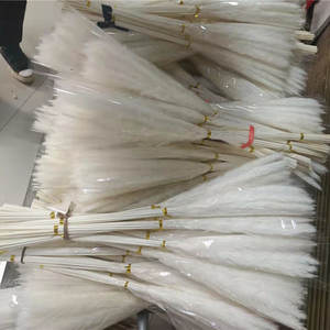 E07499 Boho vaso di vetro 40-50CM 15 30 pezzi conservato Reed Grass Set regalo piccolo bianco secco pampa erba Bouquet <span class=keywords><strong>per</strong></span> la decorazione di nozze - Product Image 3