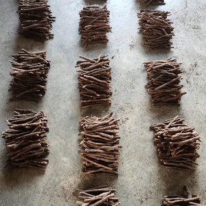 China <span class=keywords><strong>Pao</strong></span> <span class=keywords><strong>Tong</strong></span> Hybrid Paulownia <span class=keywords><strong>Z07</strong></span> Wortel Groei Massief Houten Bord Voor Maken Meubels En Landschapsarchitectuur - Product Image 3