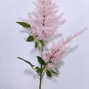 Nouvelle herbe de la <span class=keywords><strong>pampa</strong></span> à <span class=keywords><strong>tige</strong></span> unique, fleur séchée, petite fleur <span class=keywords><strong>artificielle</strong></span>, marron, blanc, gris, 85 cm, vente en gros - Product Image 2