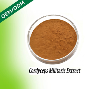 Extrait de Cordyceps Militaris Premium HDK – Soutien Énergétique Naturel, Renforcement Immunitaire, Amélioration de l'Endurance – Supplément de Champignons et Extrait Végétal - Product Image 1