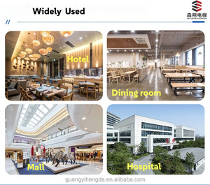 Ascensore per Alimenti a 2 Piani ad Alte Prestazioni e Funzioni Stabili, Piccolo Montacarichi per Appartamenti e Hotel - Product Image 6