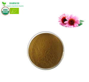 Wholesale <strong>4</strong>% Chicory Acid <strong>Echinacea</strong> Purpurea <strong>Extract</strong> - Product Image 4
