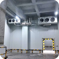 Refroidisseur d'air automatique en acier inoxydable avec évaporateur Copeland Scroll 220V/380V 2-84KW, unité de condensation écologique, moteur modèle DD30
