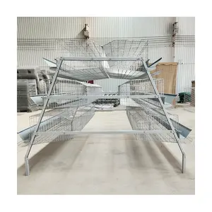 Hot Galvanized Automatic A Type 3 / 4 Tiers Chicken Cages Layer Poultry For Philippines Farm