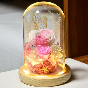TC 2024 vente en gros préservé éternel pour toujours Rose préservé véritable fleur de Rose dans un dôme en verre pour les cadeaux de fête des mères de la Saint-Valentin - Product Image 3