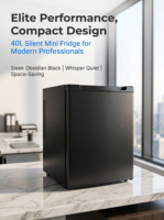 Mini-réfrigérateur à absorption compact, léger, portable, écologique, électrique, économe en énergie et confortable, 40L, pour usage au bureau ou à l'hôtel