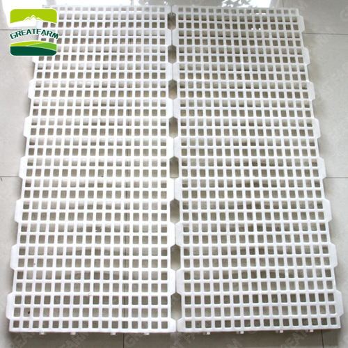 Automatic PP Material Chicken Poultry Feeder