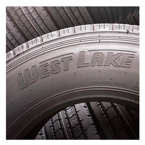 Neumáticos para Camión, Modelos 315/70R22.5 y 385/65R22.5 Disponibles - Product Image 1