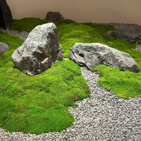 Tapis de fleurs artificielles de haute qualité Tapis de mousse artificielle Panneaux carrés de mousse réalistes artificiels Type de plante de mur d'herbe en plastique