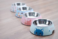 Bol à nourriture pour animaux de compagnie en acier inoxydable moderne et écologique, portable, à double couche, pour petits animaux, utilisation en intérieur