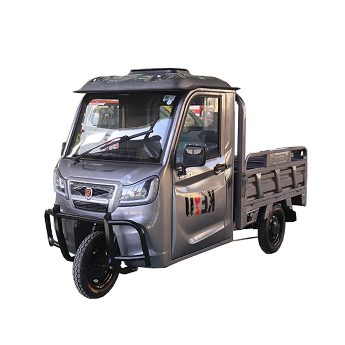 light-duty triporteur 3 wheel battery stainless steel car electric cargo tricycles 1500w for adults
