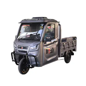 Triporteur de Servicio Ligero 3 ruedas batería de acero inoxidable coche eléctrico de carga triciclos 1500W para adultos