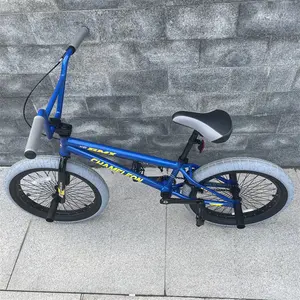 摇杆迷你Bmx自行车钢架20寸自由式自行车天津工厂批发皇家儿童定制绘画街