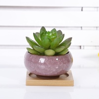 Nouveau mignon glace-fissure glaçure 7 couleur fleur céramique succulente planteur Mini Pot jardin pot de fleurs pour la maison bureau décor plante Pot OEM