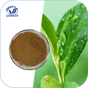98% 90% polifenolo naturale, EGCG 45% 90% 98%, catechina, tè verde estratto in polvere - Product Image 2