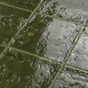 Piastrella Verde Bahia-13 13x13 Cm Spessore 9 Mm Lucida con Bordi Irregolari - Product Image 4