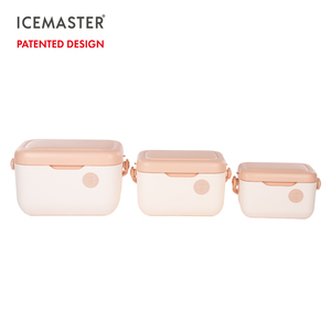 Glacière Icemaster 12QT, vente en gros directe d'usine, glacière portable en plastique rigide isolée, mini glacière, boîte à glace pour fruits - Product Image 6