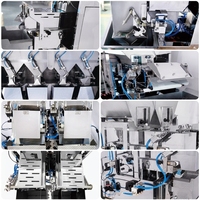 Industriële automatische VFFS verticale verpakkingsmachine met multihead weegsysteem voor IQF diepvriesfruit, gemengde groenten, erwten en maïs