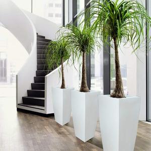 Trọng Lượng Nhẹ Sợi Thủy Tinh Nhựa Chậu Hoa Lớn Ngoài Trời Trắng Côn Vuông Trồng Cho Nhà Và Vườn Trang Trí Cho Khách Sạn - Product Image 3