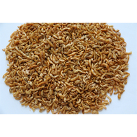 Alimentation pour Tortues et Poissons : Gammarus et Crevettes Séchés au Soleil 100% Naturels, Jaune 0,5-1cm, pour la Santé de la Peau et du Pelage - Vente en Gros Fabricants