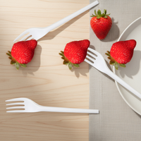 Greenday Aanpasbare Ecologische CPLA/PLA Vliegtuigbestek Vork voor Feesten Taart Dessert Fruit Composteerbaar 6"/6.5" CPLA Vork