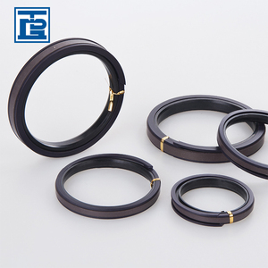 Phớt thủy lực piston hai chiều máy xúc Tongda SPGW - Product Image 4