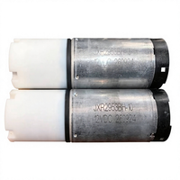 Moteur à courant continu 12V 295 à balais, couple élevé, pour réglage de siège de voiture, actionneur de hayon électrique, mouvement linéaire JXR2953BH