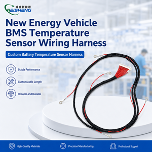适用于电池 BMS NTC 热敏电阻 OEM 的定制温度传感器线束 - Product Image 1