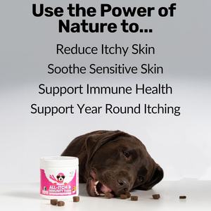 איכות גבוהה לחיות מחמד כל גירוד טבליות לעיסת טלאים טעם מקל מקל על גירוד חיות מחמד תומך בריאות החיסון עבור כלבים וחתולים - Product Image 4