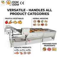 Complete set fruit- en groentewas- en droogmachines voor diepgaande landbouwverwerking