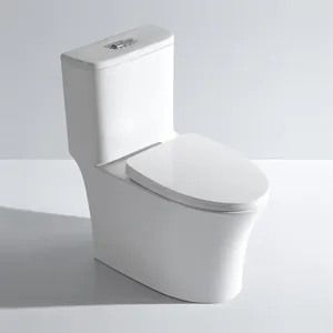 Inodoro moderno para baño, inodoro de una pieza, con correa de precio