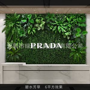 ผนังต้นไม้ประดิษฐ์กรีนเวย์ 6 ตารางเมตร ผนังหญ้าเทียม วัสดุตกแต่งสวน - Product Image 1