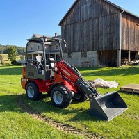 Europäischer Verkaufsschlager: Neuer 4-Rad-Kompakt-Minilader, Landwirtschaftlicher Hoftransporter, CE Euro 5 Diesel-Lader mit Schaufel