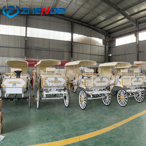 White Fresh and Elegant Sightseeing Carriage Special Transport Wedding Sightseeing Carriage Manufacturer for Sale - Product Image 6